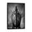 'Drakkar B&W Photographic Print on Canvas-74126027-74126025-74126026