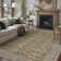 Kitty Machine Washable Oriental Area Rug for Living Room with Non-Slip Backing