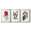 Roseat Blooms IV - reproduction encadrée sur mesure de qualité supérieure mate - 3 pièces-114374639-114374637