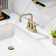 Centerset 2-handle Bathroom Faucet with Drain Assembly