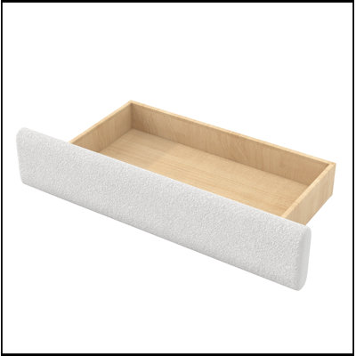 Queen Size Upholstered Daybed with 2 Drawers