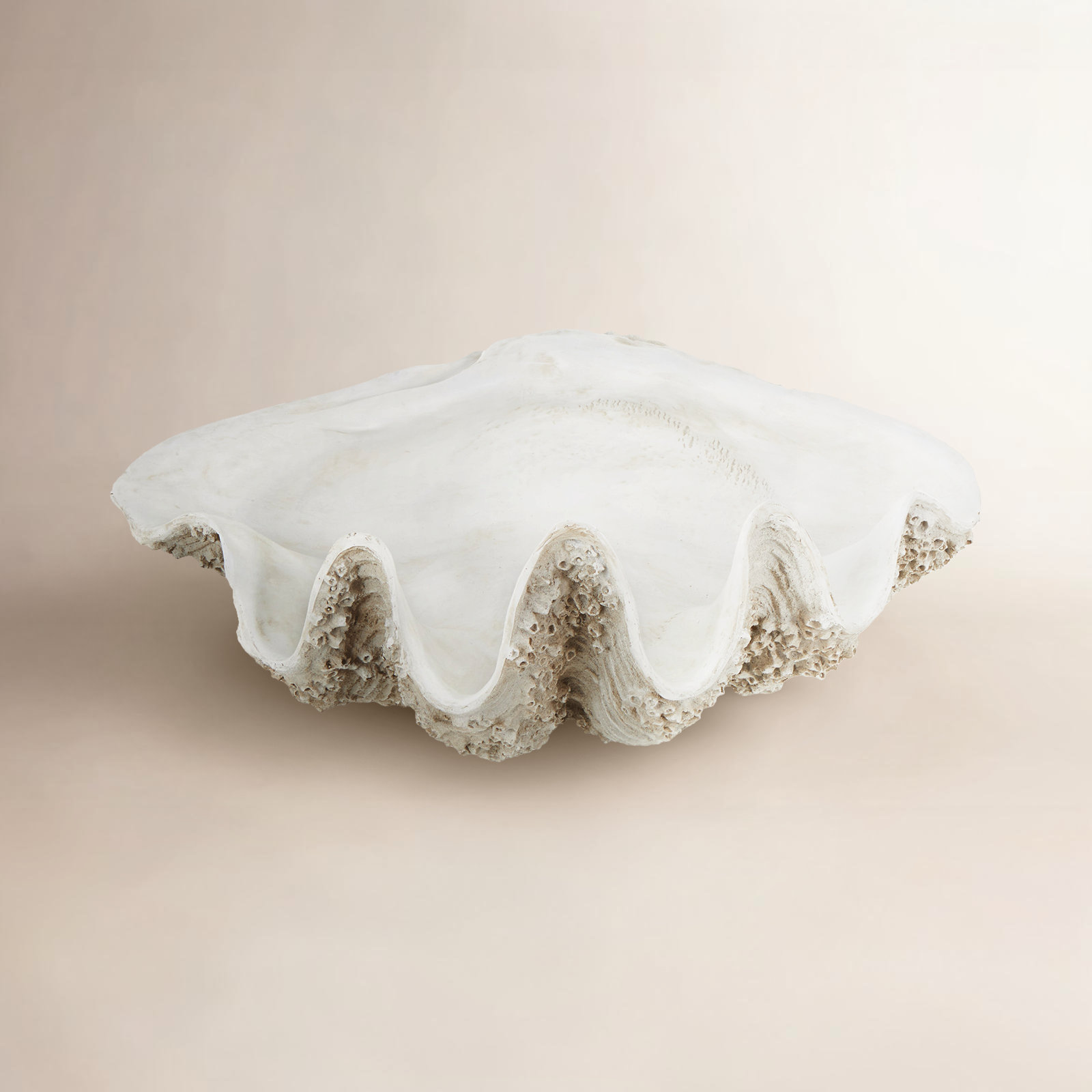 Polystone Textured Shell Sculpture