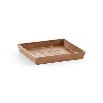 Saucer Plant Stand