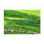 Art sur toile, plateau d'Uzumcu-448821390