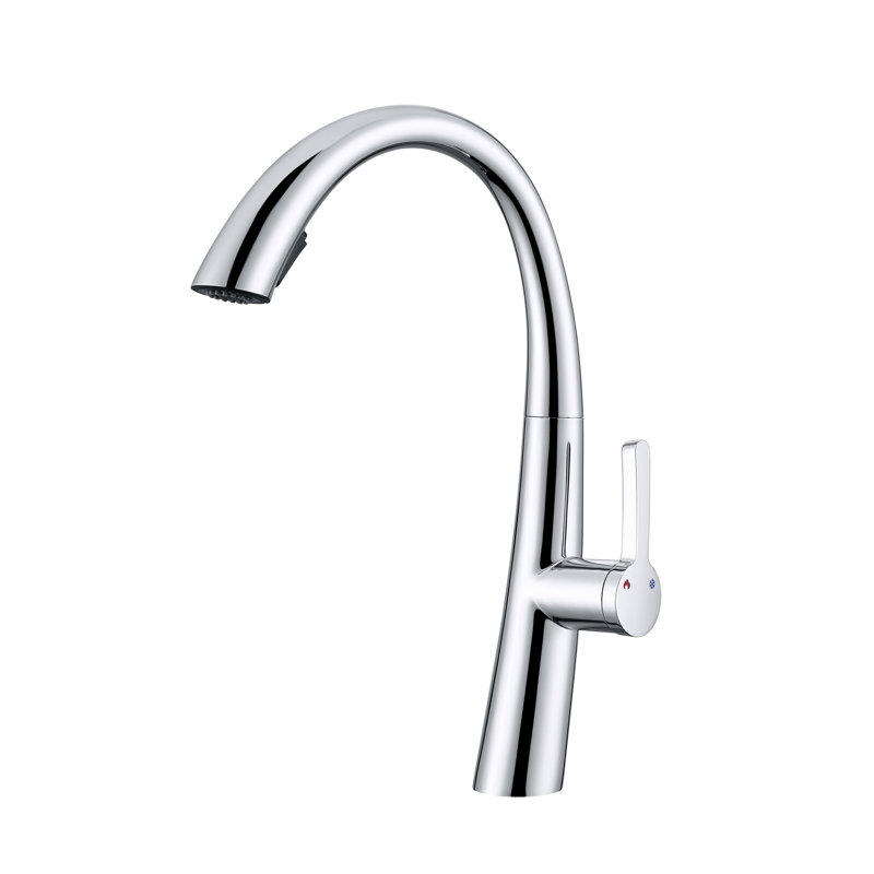 CERYPSA Pull Out Kitchen Faucet, Chrome