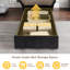 Delvin Upholstered Ottoman Storage Bed-36406150-36406149