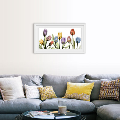 " Tulip "
