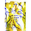 1 Piece Wrapped Canvas Wall Art-16673774