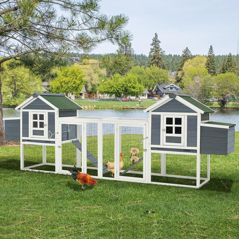 Grand poulailler en cage, Gris