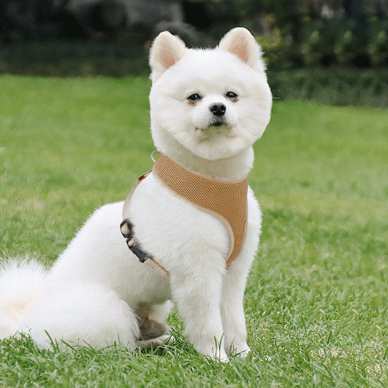 Harnais pour chien en maille, harnais anti-traction ajustable et rembourré avec anneau en D et boucle pour chiens, Brun clair