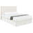 Sand Headboard with Soft Edges-146701590