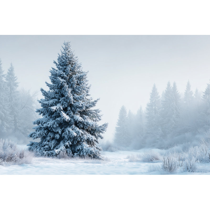 Art mural sur toile de neige recouverte de neige, 12 po x 16 po