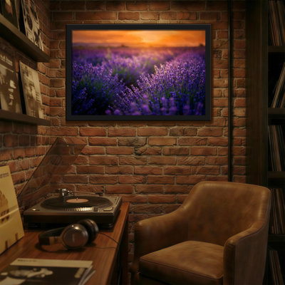 Plantes et fleurs, champ de lavande, impression de paysage coucher de soleil
