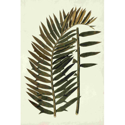 «Leaf Variétés» par Vision Studio - reproduction sur toile tendue