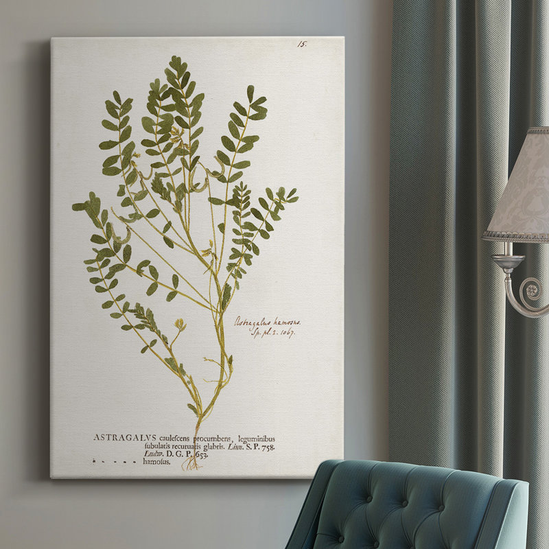 " Nature Printed Ferns X ", 12" W  x 18" H