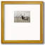 Grand Elk - impression d'un seul cadre photo-87964587