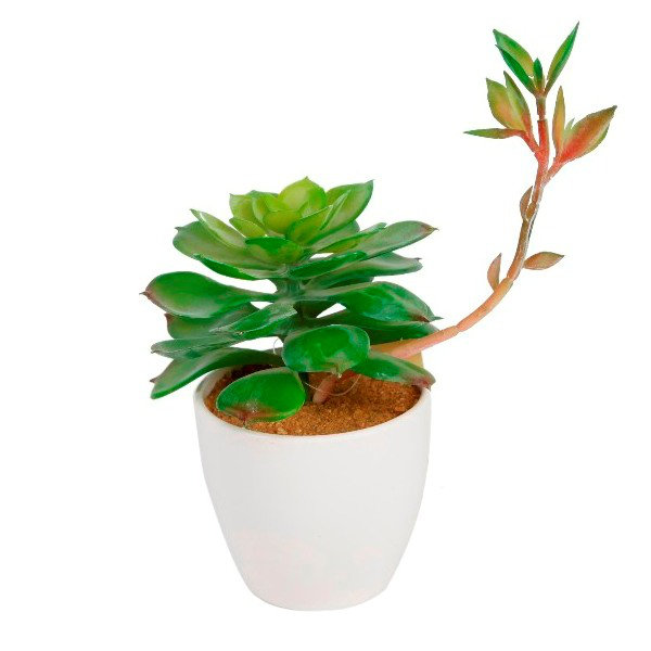 Plante grasse artificielle 5 "en pot, Vert