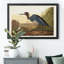 Blue Crane - reproduction d'art sur toile-723518033-723518036