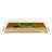 Family Pheasants Acrylic Square Decorative Tray-120841444-93454207