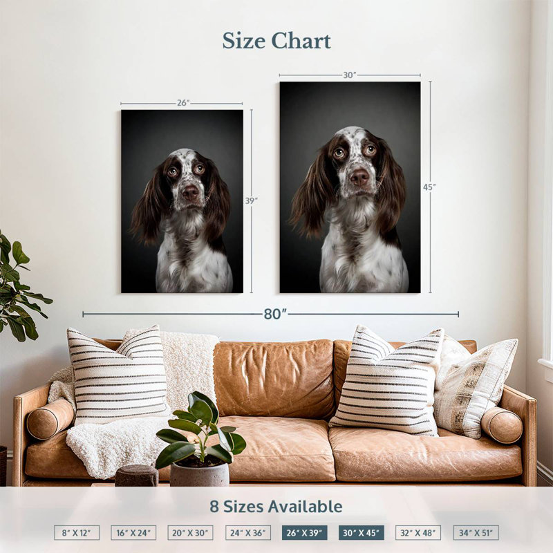 Adorable English Setter, 45" H x 30" W