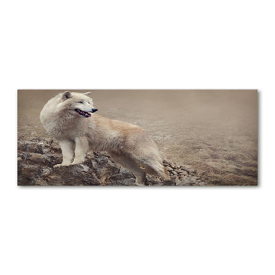 White Wolf on the Rock 1 Piece Wall Art on Canvas