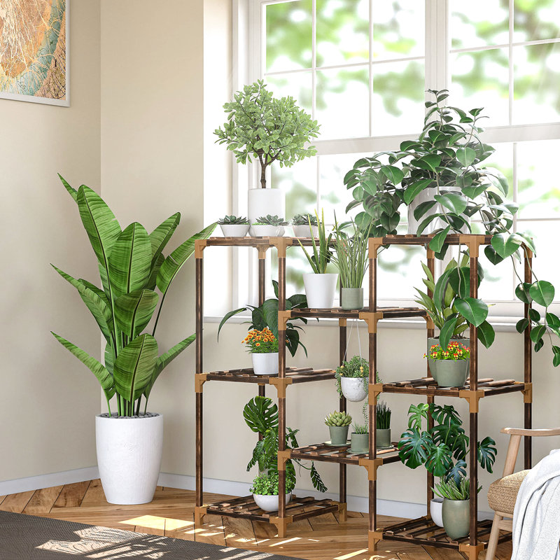 Présentoir pour plantes en bois - pour les plantes multiples - Construction intérieure et extérieure stable - Assemblage facile sans outils