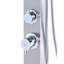Freestanding Outdoor Shower APOERA Silver