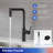 Rainlex Pull Down Kitchen Faucet-91854279
