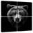 Grizzly Bear Face-814596684