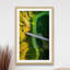 Single Picture Frame Print-1149631712