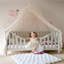 Dimitri Polyester Bed Canopy