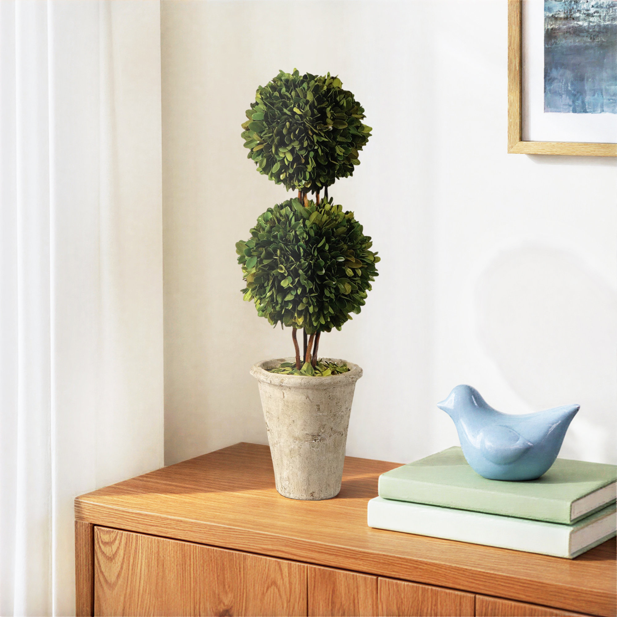 Alby Preserved Boxwood Topiary in Pot,  20" H x 6" W x 6" D