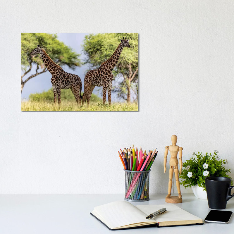 Twins by Anders Jorulf - Wrapped Canvas Gallery-Wrapped Canvas Giclée, 20.32cm H x 30.48cm W
