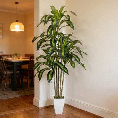 60" Brazilian Dracaena Faux Tree