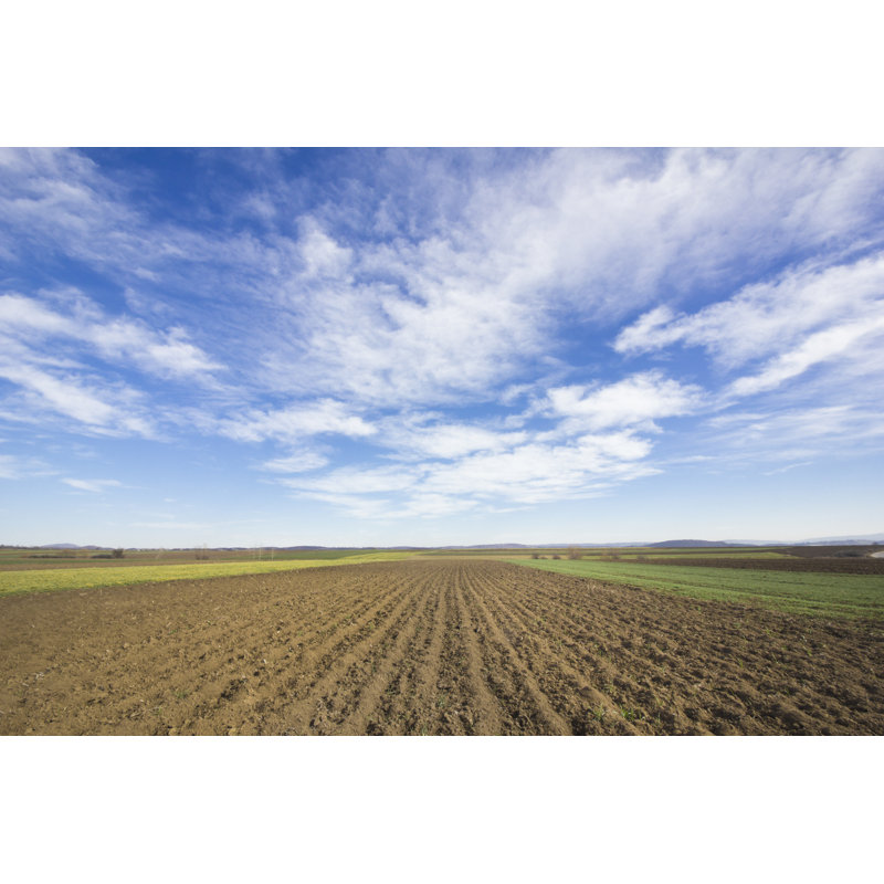 Champ de travail du sol sous les nuages par Marccopoto, H 32 po x l 48 po