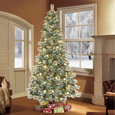Carolina Pine 7.5' Blue/Green Pine Artificial Christmas Tree with 450 Clear/White Lights -  The Holiday Aisle®, F3C7AC09A61E48F8852743A92B865296