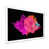 Cadre photo blanc