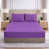 Lilac/Purple