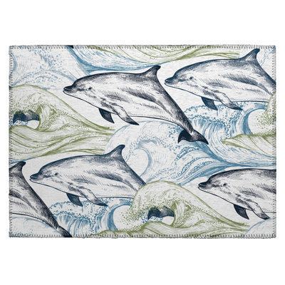 Terrest Washable Indoor / Outdoor Rug