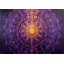 Cosmic Bloom