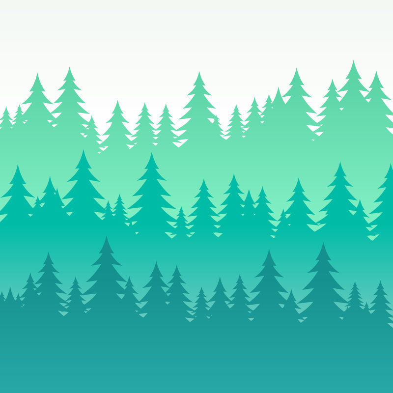 Wooded Pine Tree by Filo - Wrapped Canvas Print, 51cm H x 51cm W