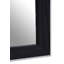 Stainless Steel Rectangle Mirror