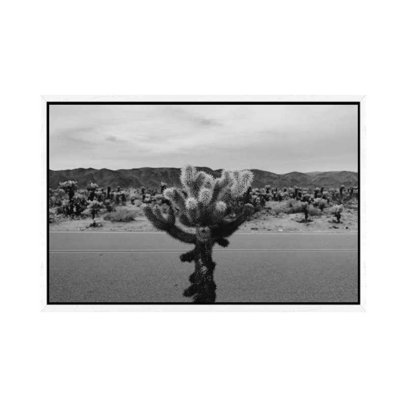Cholla Cactus Garden XVII by Bethany Young - Print on Canvas, 101.6cm H x 152.4cm W x 3.81cm D, White Framed