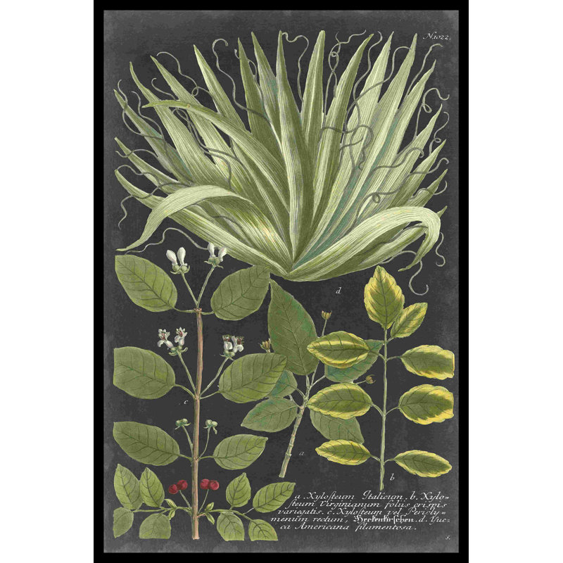 Dramatique Weinmann verdure IV, H 30 po x l 20 po