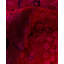 Tapis rose en laine 8 pi 3 po x 10 pi 2 po Huckstep