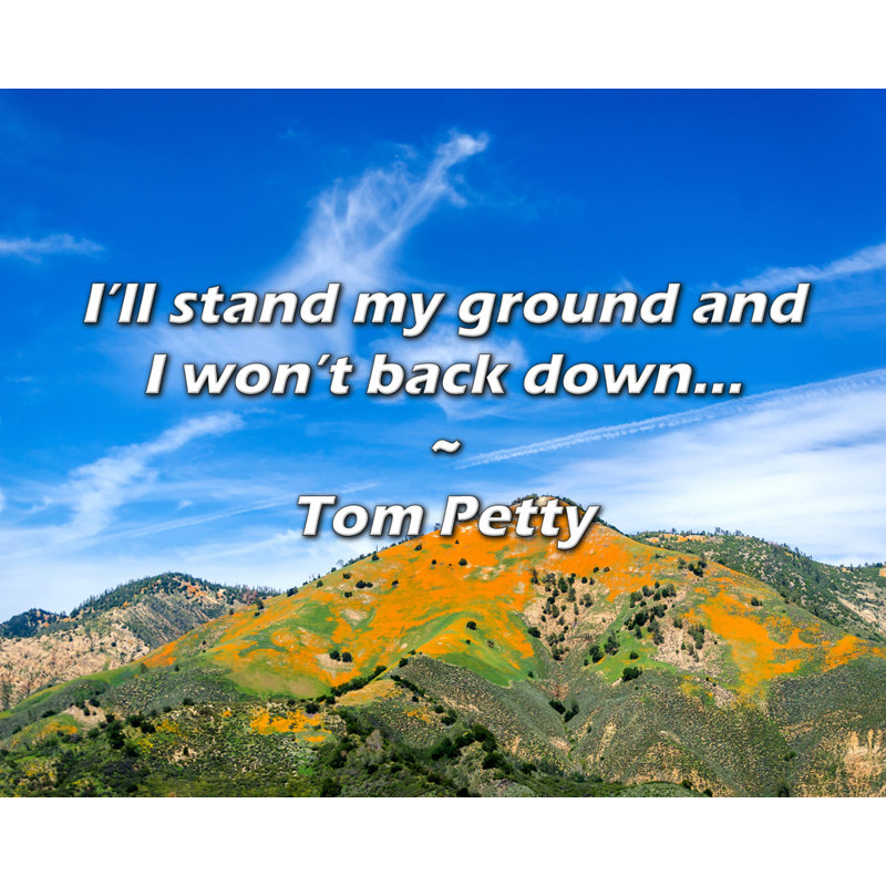 Citation de Tom Petty: Je maintiendrai ma position et je ne reculerai pas ..., H 15 po x l 18 po