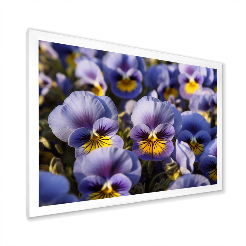 «Purple Yellow Pansies Harmony II», reproduction sur toile, H 30 po x l 40 po x P 1,5 po, Cadre simple blanc