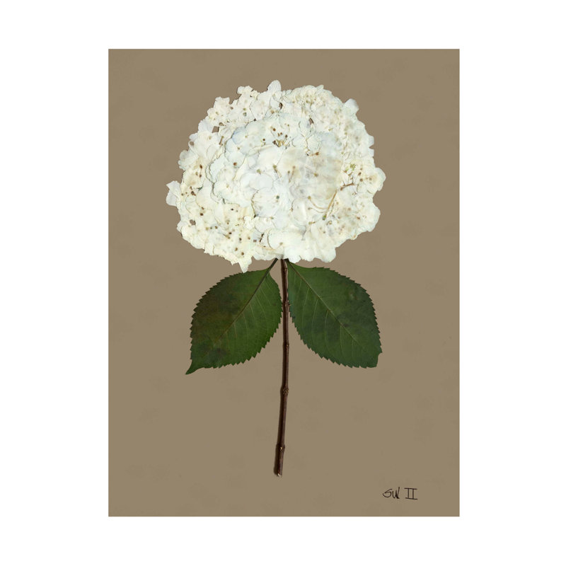 Pressed Hydrangea Set by Sandy Whitaker, 42.5" H x 34.5" W, Gold Bead 1