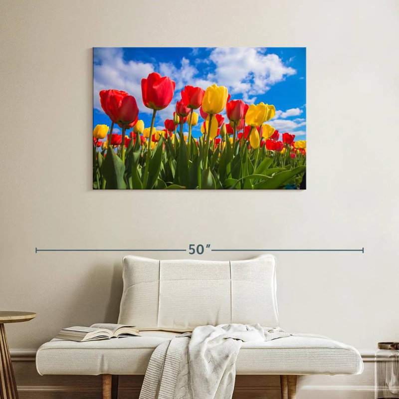 Champ de tulipes Harnek Spring, H 26 po x l 39 po