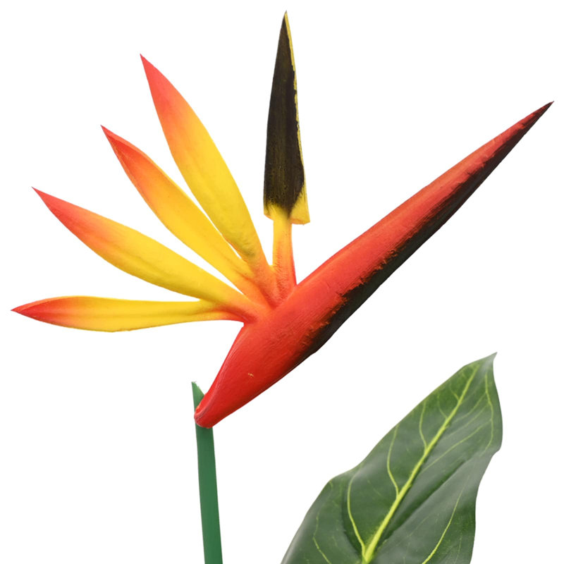 Plant, 55cm H x 65cm W x 13cm D